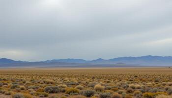 a vast steppe stretching endlessly beneath a cold gray sky. photo