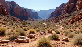 a wide canyon floor where tumbleweeds roll between scattered boulders. photo