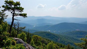 a sweeping view from a mountain overlook above endless tree canopies. photo