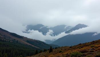 a fog wrapped mountain range where only the tallest peaks are visible. photo