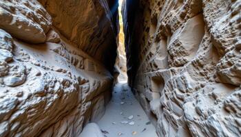 a narrow ravine cut through ancient rock, lit by a single beam of sunlight. photo