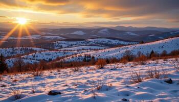 a field of snow covered hills lit by the soft gold of dawn. photo