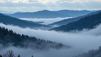 a valley cloaked in low fog, only the tallest trees and peaks visible above. photo
