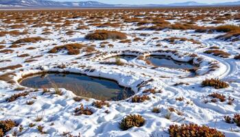 a tundra plain dotted with icy ponds and low growing plants. photo