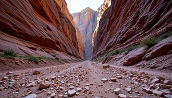 a canyon floor littered with stone fragments beneath towering cliffs. photo