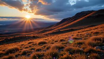 a tundra hillside lit by the soft glow of the midnight sun. photo