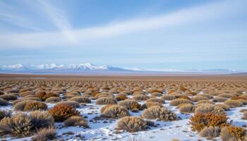 a vast tundra plain with low shrubs and scattered patches of snow beneath a pale blue sky. photo