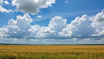 a vast prairie under a sky filled with billowing clouds, with grasses swaying in the breeze. photo