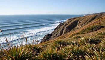 a rugged coastal bluff with wild grasses bending in the strong sea breeze, overlooking churning waves below. photo