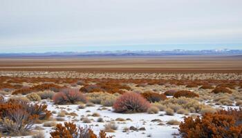 a vast tundra plain dotted with hardy shrubs and patches of snow under a pale blue sky. photo