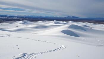 a sweeping tundra where the wind shapes snow into long, flowing dunes. photo