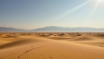 a wide expanse of desert with sand dunes stretching toward a distant mountain range. photo