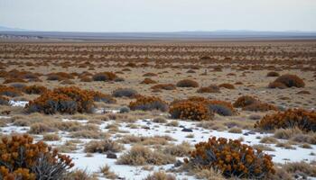 a vast tundra plain dotted with hardy shrubs and patches of lingering snow under a pale sky. photo
