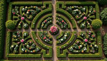 an overhead view of a symmetrical garden maze with intricate floral patterns made from hedges and blooming roses photo