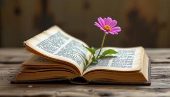 a single blooming flower growing from an ancient book's open spine photo