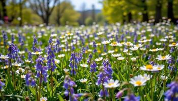 a field of bluebells and daisies swaying gently in a summer breeze photo