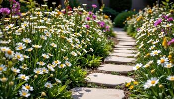 a garden path paved with smooth stones and bordered by delicate daisies photo