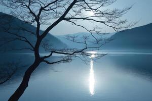A tree is standing in front of a lake photo