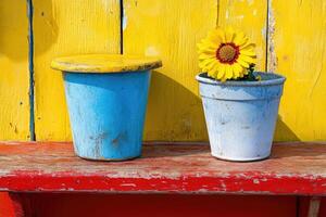 A flower in a pot photo