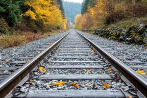 A railroad track with leaves on the ground photo
