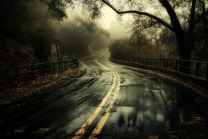 A wet road with trees and a bridge in the fog photo