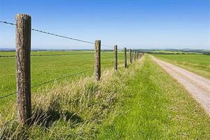A dirt road with a wooden fence and grassy field photo