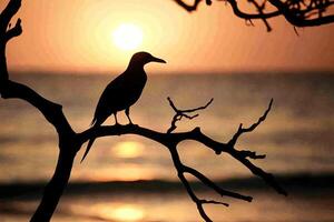 A bird is perched on a tree branch at sunset photo