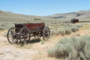 A wagon and a horse are on a dirt road photo