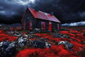 A house in a field with red flowers photo