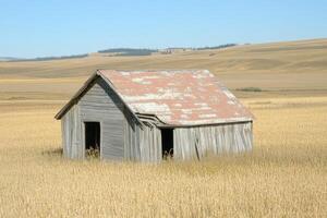 A small wooden house in a field photo