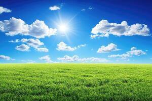 Green grass field with blue sky and sun photo