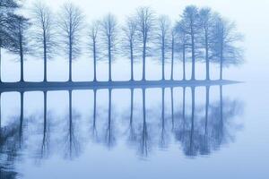 A row of trees in the fog on a lake photo