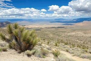 A desert landscape with a mountain in the background photo