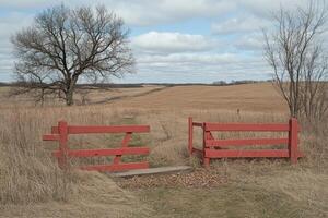 A red gate in a field with a tree in the background photo