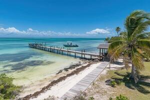 Additional photo for property listing at private island in the keys, florida, united states