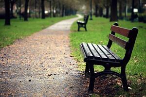 A bench sitting on a path in a park photo