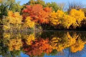 Colorful trees are reflected in the water photo