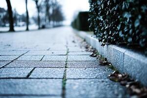 A brick sidewalk with a tree in the background photo