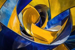 A blue and yellow flower photo