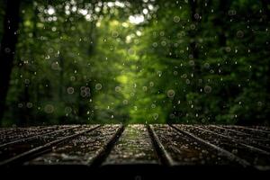 Rainy forest wallpaper photo