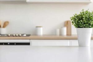 A white kitchen counter with a plant in a pot photo