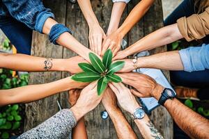 Diverse group unites, nurturing growth photo