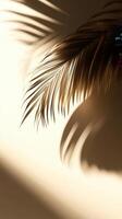 close-up of a dried palm leaf against a light background. The leaf has a golden hue and casts a soft shadow on the surface photo