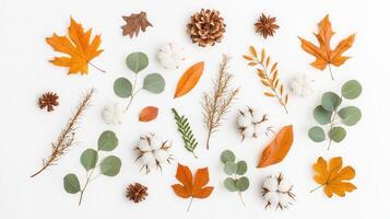 Eucalyptus and perfect flowers creating a beautiful autumnal pattern on a white background, cotton for nature inspired designs photo