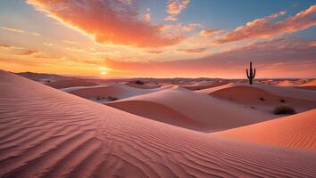 Desert Sand Dunes at Sunset with Saguaro Cactus and Colorful Sky photo