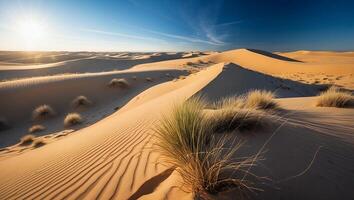 Tranquil Desert Landscape with Sand Dunes and Sparse Vegetation at Sunset photo