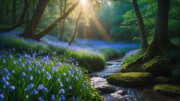 Sunlit Forest Stream Flowing Through Bluebell Field at Sunrise photo