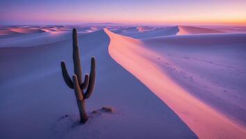 Lone Cactus in Desert Sand Dunes at Sunset with Purple Sky photo