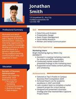 Intership Fresh Graduates Resume template