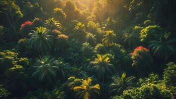 Dense Jungle Canopy with Palm Trees and Vibrant Red Flowers photo